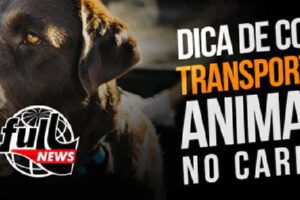 Dicas de Como transportar Animais