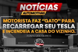 19-motorista-gato-full-pneus-materia