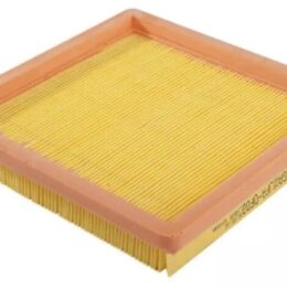 Filtro de Ar do Motor Wega JFA0F02