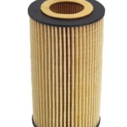 Filtro de Óleo Wega WOE455