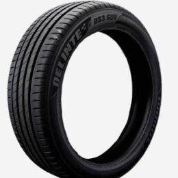 Pneu Aro 20 Delinte 275/45R20 110V DS3 SUV XL